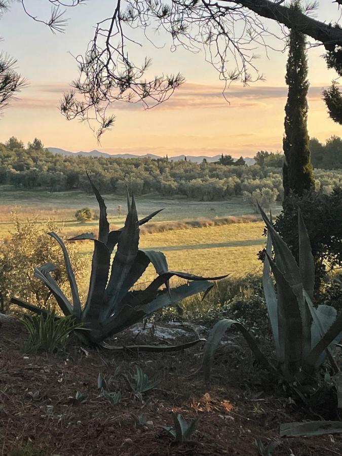 Bed and breakfast Mas Des Alpilles *